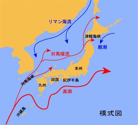 日本水流方向|日本近海の海流